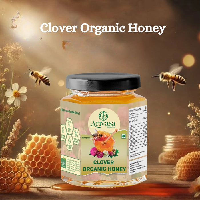 Clover Organic Honey | Pure, Natural & Lab Tested – 250 gms (hover)