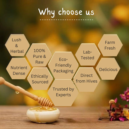 Organic Little Bee Honey | Pure, Natural & NMR Lab - Tested - Arivasa Organics - 100 gms - 