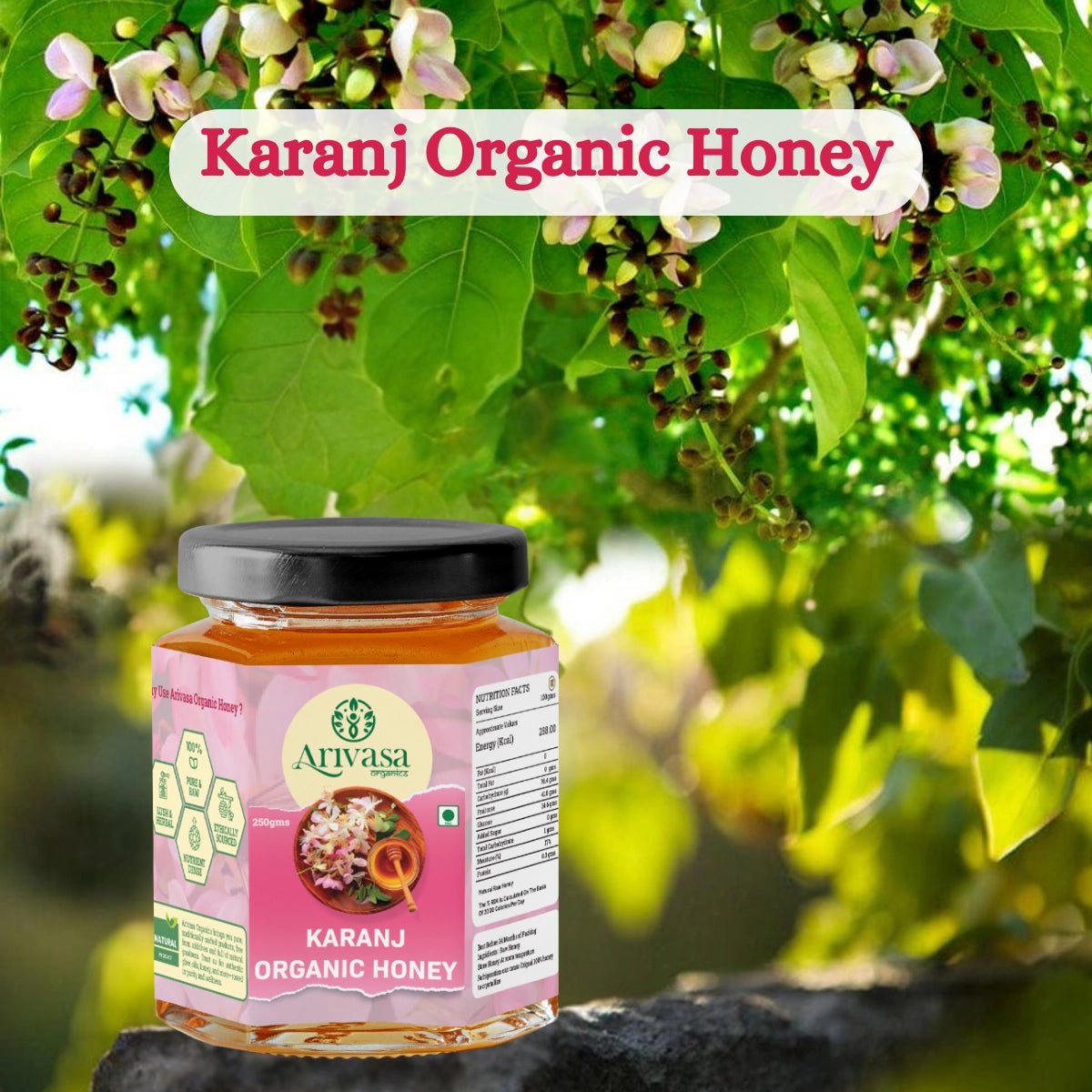 Karanj Organic Honey | Pure, Natarual & NMR Lab - Tested - Arivasa Organics - 250 gms - 