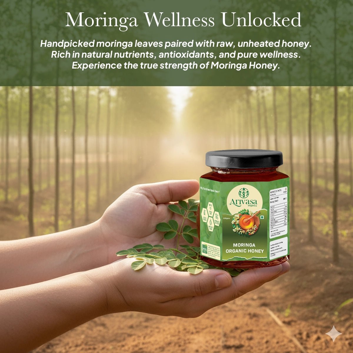 Moringa organic honey | Pure, natural & lab - tested - Arivasa Organics - 250 gms - 