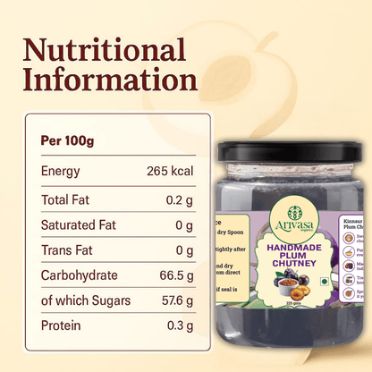 HANDMADE PLUM CHUTNEY - My Store - 225 gms - 
