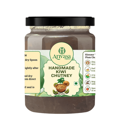 HANDMADE KIWI CHUTNEY - My Store - 225 gms - 