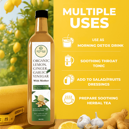ORGANIC LEMON GINGER GARLIC CIDER VINEGAR - My Store - 500 ML - 